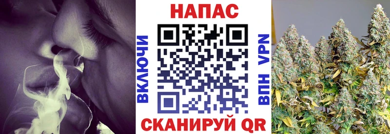 Купить закладки  Ясный  Конопля планчик 